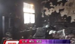 杞县本地人爆料视频大全,视频大全揭秘当地生活百态