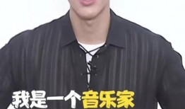 今日头条王力宏爆料,揭秘娱乐圈不为人知的秘密
