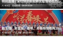 广东海丰爆料新闻事件,真相与影响深度解析