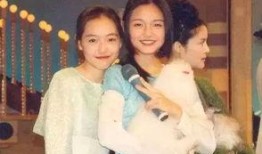 大s和小s爆料视频大全,姐妹情深背后的惊人真相