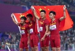 台湾艺人接力爆料视频在线观看,揭秘娱乐圈幕后真相