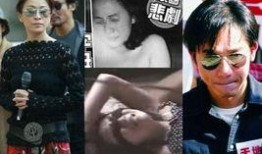 刘嘉玲在线观看网站,揭秘热门影视明星的云端魅力