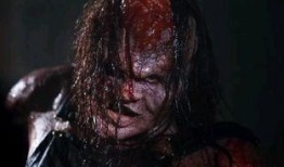 短斧柄在线观看,在线观看的惊悚悬疑之旅