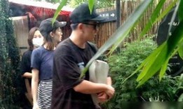 郑恺爆料片段视频,揭秘娱乐圈幕后真相