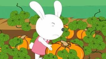 娱乐吃瓜小兔子,娱乐圈吃瓜小兔子的幕后故事